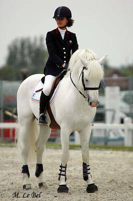 le cso
